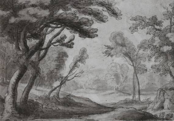 Clearing in a Wooded Landscape