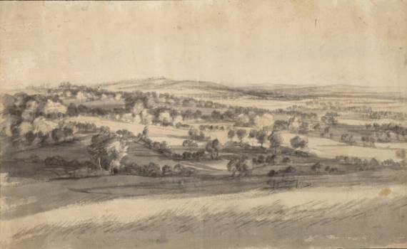 Large Wooded Landscape with Gentle Hills