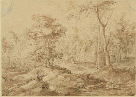 Wooded Landscape