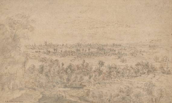 Wooded Landscape