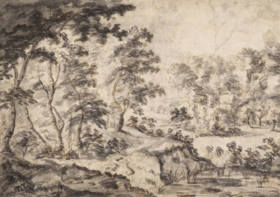 Wooded Landscape