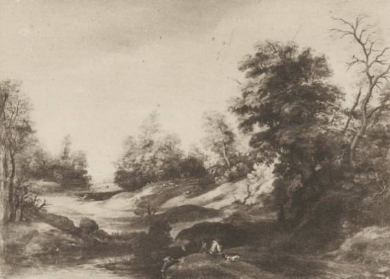 Wooded Landscape