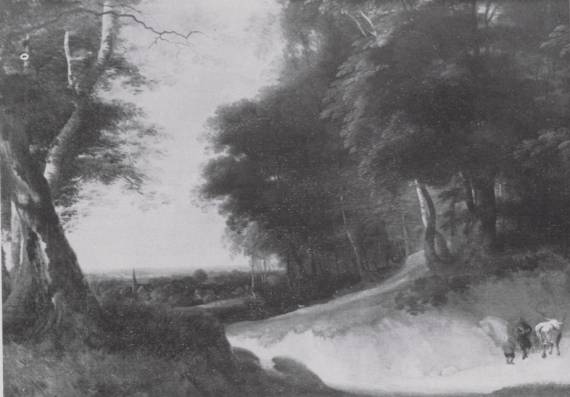 Landscape with Pebbled Path in Foreground
