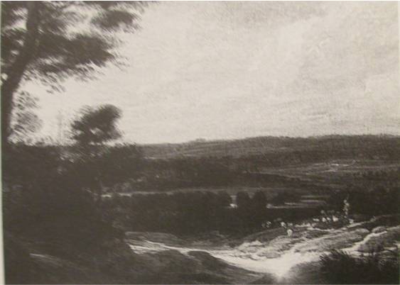 Sheperd and Flock in an Extensive Landscape 