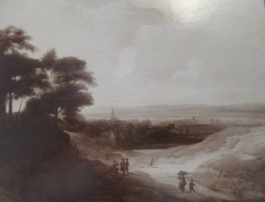 Extensive Landscape