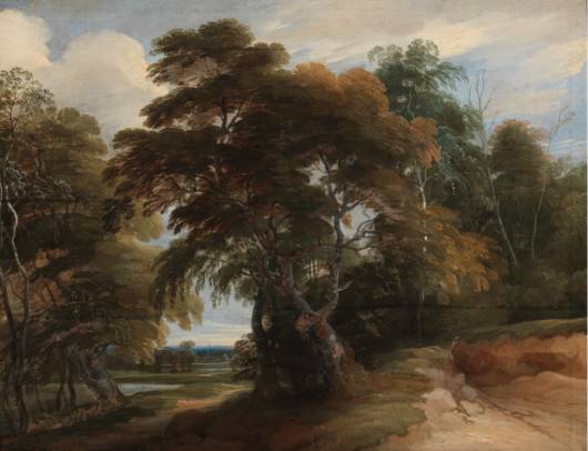 A Wooded Landscape 