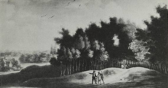 Landscape 