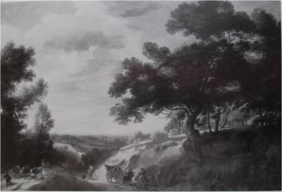 An Extensive Wooded Landscape