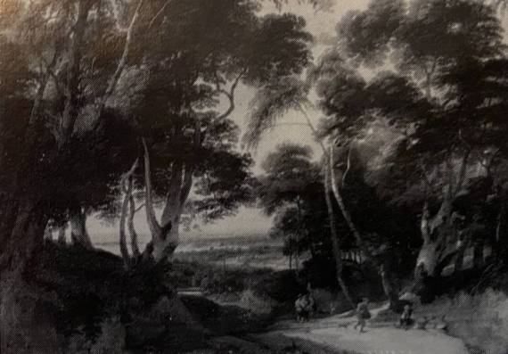 Landscape