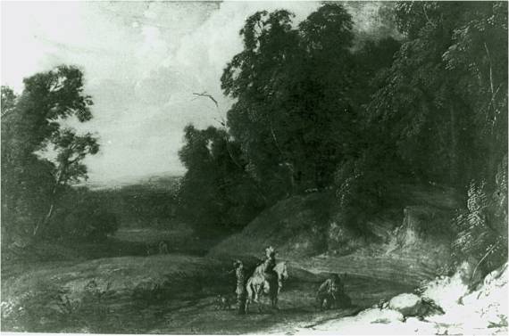 Wooded Landscape