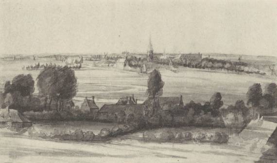 Extensive Landscape