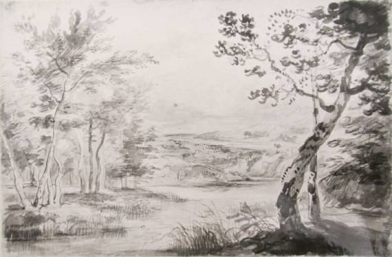 River Landscape