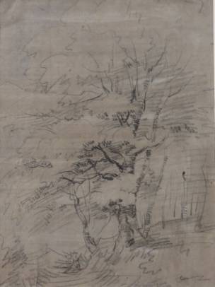 Study of a Tree 