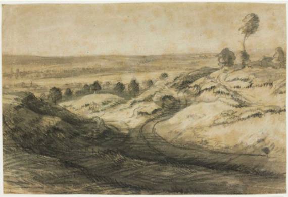 Dune Landscape