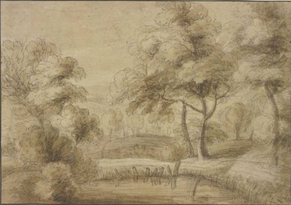  Wooded Landscape with Pool