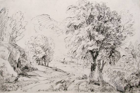Landscape 