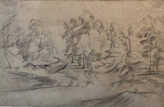 Woody Landscape