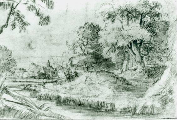 River Passing through a Forest 