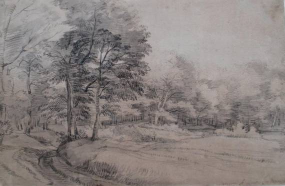 Woody Landscape with Road 