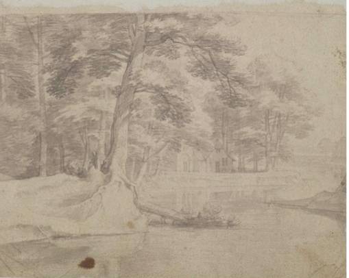A Pond surrounded by Trees