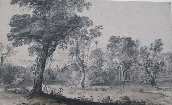 A Lake in a Wood 