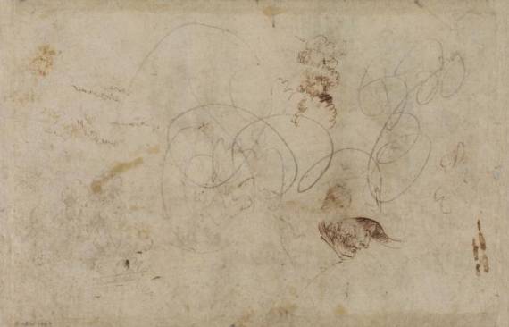 Rough Sketch of Trees and Head