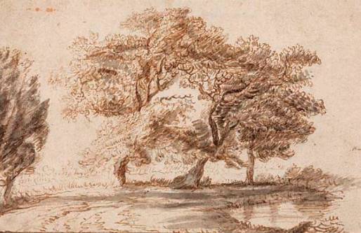 Trees near a Pool