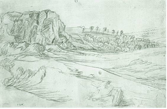 Distant View with Rocks and Trees