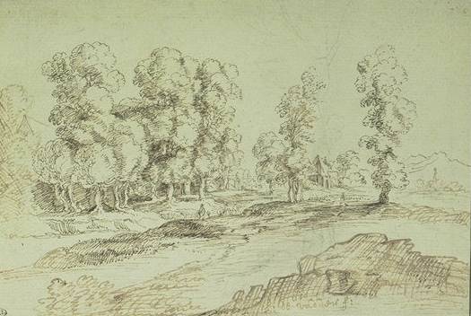 Landscape with Very High Trees