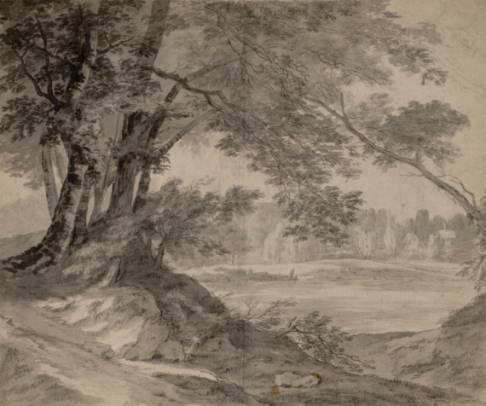 Cluster of Trees along a Road 