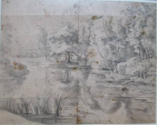 Trees at a River's Edge