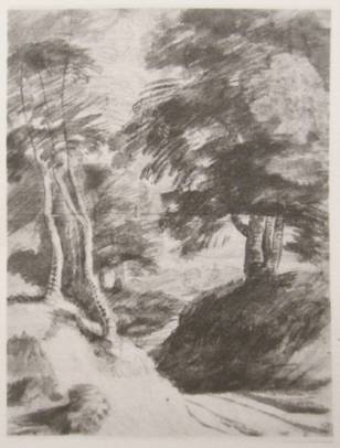 Road in the Forest