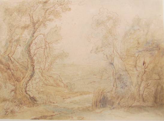 Wooded Landscape 