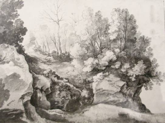 Wooded Landscape