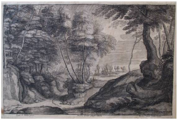 Forest Landscape (I)