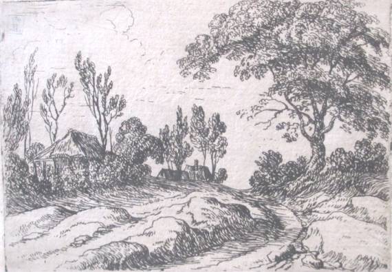 A Large Tree Beside a Road (I)