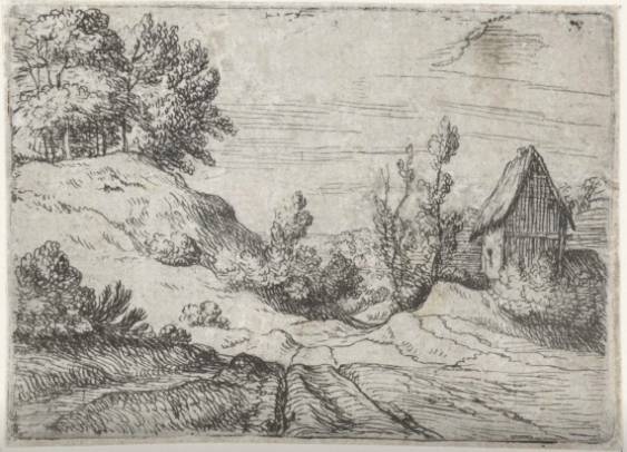 Hill surrounded by Trees (I)