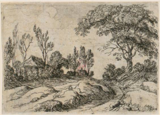 A Large Tree beside a Road (III)