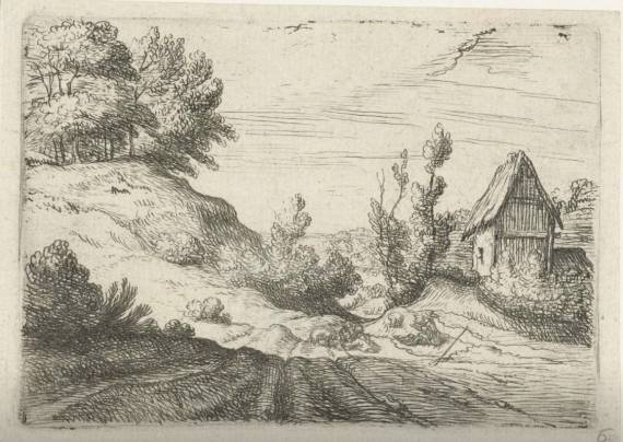 Hill surrounded by Trees (II)