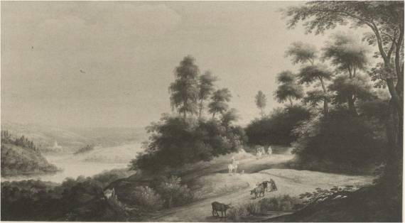 Distant View with Wood