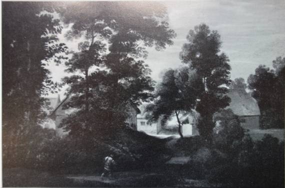 Hamlet among Trees