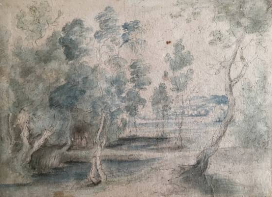 Forest Edge with View