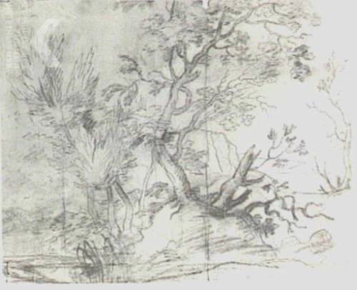 A Study of Trees