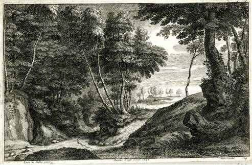 Forest Landscape (II)