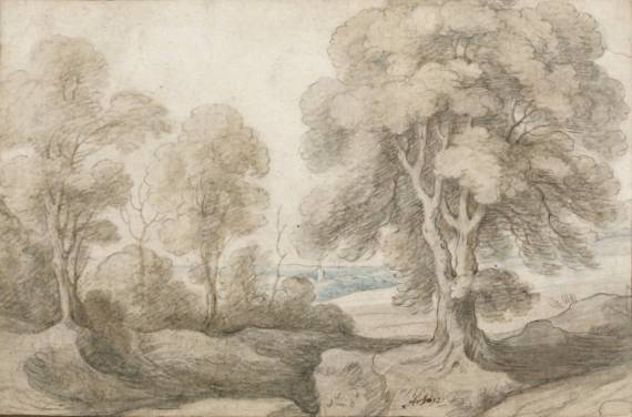Wooded Landscape 