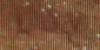Wooded Landscape