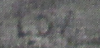 Wooded Landscape