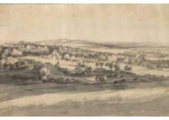 Work 1079: Large Wooded Landscape with Gentle Hills