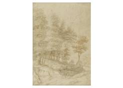CB 1207: Forest Edge Work 1207: Forest Edge