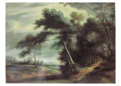 A Wooded Landscape